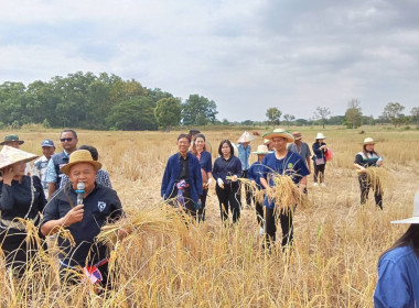 กลุ่มส่งเสริมสหกรณ์ 4 ... พารามิเตอร์รูปภาพ 5