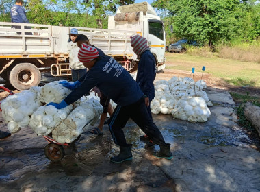 กลุ่มส่งเสริมสหกรณ์ 4 ... พารามิเตอร์รูปภาพ 2