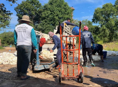 กลุ่มส่งเสริมสหกรณ์ 4 ... พารามิเตอร์รูปภาพ 3