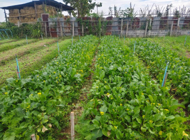 เจ้าหน้าที่กลุ่มจัดตั้งและส่งเสริมสหกรณ์ ... พารามิเตอร์รูปภาพ 3