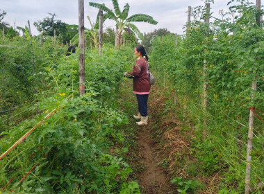 เจ้าหน้าที่กลุ่มจัดตั้งและส่งเสริมสหกรณ์ ... พารามิเตอร์รูปภาพ 5