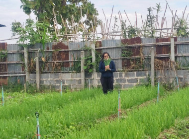 เจ้าหน้าที่กลุ่มจัดตั้งและส่งเสริมสหกรณ์ ... พารามิเตอร์รูปภาพ 6