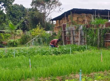 เจ้าหน้าที่กลุ่มจัดตั้งและส่งเสริมสหกรณ์ ... พารามิเตอร์รูปภาพ 7