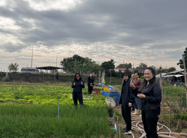 เจ้าหน้าที่กลุ่มจัดตั้งและส่งเสริมสหกรณ์ ... พารามิเตอร์รูปภาพ 8