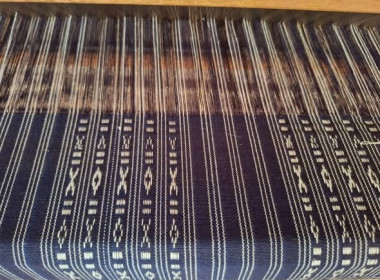 กลุ่มส่งเสริมเเละพัฒนาธุรกิจสหกรณ์ ลงพื้นที่ให้คำแนะนำ ... พารามิเตอร์รูปภาพ 4