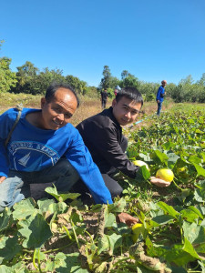 เจ้าหน้าที่กลุ่มส่งเสริมและพัฒนาธุรกิจสหกรณ์ ... พารามิเตอร์รูปภาพ 1