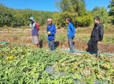 เจ้าหน้าที่กลุ่มส่งเสริมและพัฒนาธุรกิจสหกรณ์ ... พารามิเตอร์รูปภาพ 5