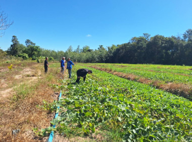 เจ้าหน้าที่กลุ่มส่งเสริมและพัฒนาธุรกิจสหกรณ์ ... พารามิเตอร์รูปภาพ 8