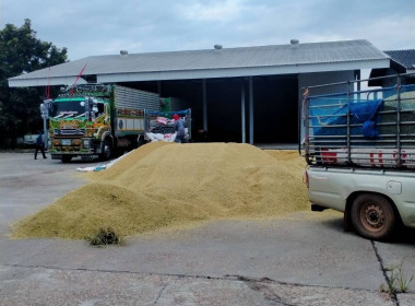 กบส. ลงพื้นที่อำเภอศรีสงคราม ... พารามิเตอร์รูปภาพ 1