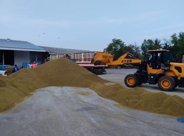 กบส. ลงพื้นที่อำเภอศรีสงคราม ... พารามิเตอร์รูปภาพ 7