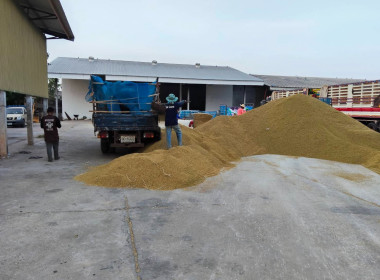 กบส. ลงพื้นที่อำเภอศรีสงคราม ... พารามิเตอร์รูปภาพ 4