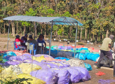 กลุ่มส่งเสริมสหกรณ์ 2 ... พารามิเตอร์รูปภาพ 1