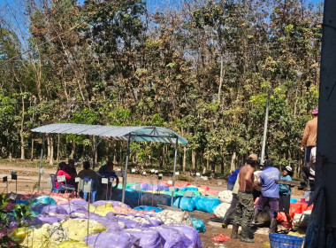 กลุ่มส่งเสริมสหกรณ์ 2 ... พารามิเตอร์รูปภาพ 4