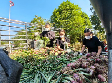 กิจกรรมสนับสนุนการกระจายผลผลิตหอมแดงสดจังหวัดศรีสะเกษ จำนวน ... พารามิเตอร์รูปภาพ 5