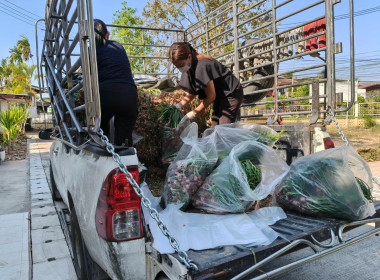 กิจกรรมสนับสนุนการกระจายผลผลิตหอมแดงสดจังหวัดศรีสะเกษ จำนวน ... พารามิเตอร์รูปภาพ 8