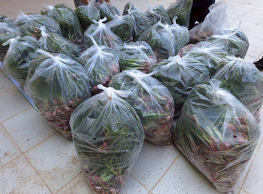 กิจกรรมสนับสนุนการกระจายผลผลิตหอมแดงสดจังหวัดศรีสะเกษ จำนวน ... พารามิเตอร์รูปภาพ 12