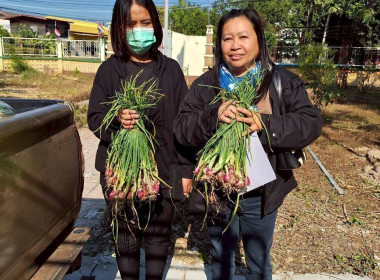 กิจกรรมสนับสนุนการกระจายผลผลิตหอมแดงสดจังหวัดศรีสะเกษ จำนวน ... พารามิเตอร์รูปภาพ 14