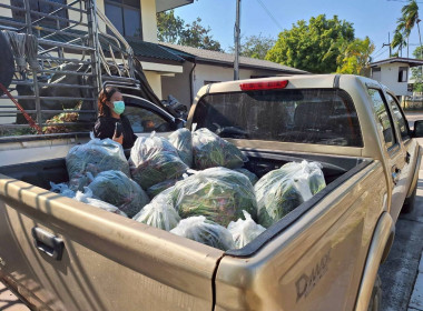 กิจกรรมสนับสนุนการกระจายผลผลิตหอมแดงสดจังหวัดศรีสะเกษ จำนวน ... พารามิเตอร์รูปภาพ 15