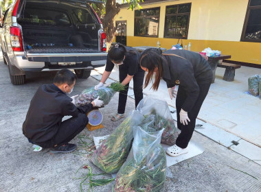 กิจกรรมสนับสนุนการกระจายผลผลิตหอมแดงสดจังหวัดศรีสะเกษ จำนวน ... พารามิเตอร์รูปภาพ 16