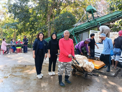 กลุ่มส่งเสริมสหกรณ์ 4 ... พารามิเตอร์รูปภาพ 1