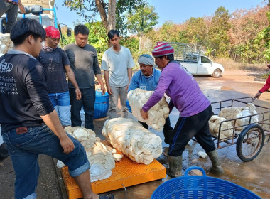 กลุ่มส่งเสริมสหกรณ์ 4 ... พารามิเตอร์รูปภาพ 3