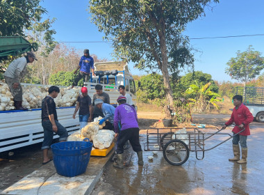 กลุ่มส่งเสริมสหกรณ์ 4 ... พารามิเตอร์รูปภาพ 2