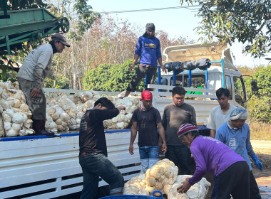 กลุ่มส่งเสริมสหกรณ์ 4 ... พารามิเตอร์รูปภาพ 5