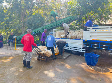 กลุ่มส่งเสริมสหกรณ์ 4 ... พารามิเตอร์รูปภาพ 7