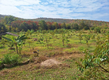 กลุ่มส่งเสริมและพัฒนาธุรกิจสหกรณ์ ... พารามิเตอร์รูปภาพ 2