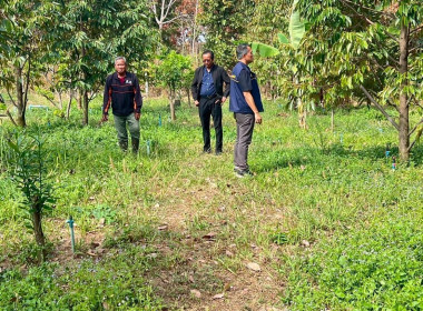 กลุ่มส่งเสริมและพัฒนาธุรกิจสหกรณ์ ... พารามิเตอร์รูปภาพ 7