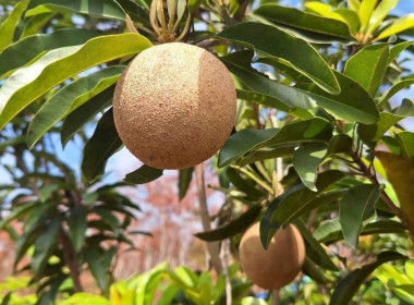 กลุ่มส่งเสริมและพัฒนาธุรกิจสหกรณ์ ... พารามิเตอร์รูปภาพ 11