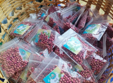 บุคลากรสำนักงานสหกรณ์จังหวัด ... พารามิเตอร์รูปภาพ 8