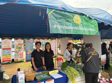 บุคลากรสำนักงานสหกรณ์จังหวัด ... พารามิเตอร์รูปภาพ 9