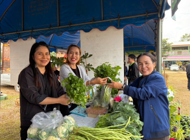 บุคลากรสำนักงานสหกรณ์จังหวัด ... พารามิเตอร์รูปภาพ 11