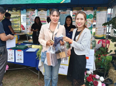 บุคลากรสำนักงานสหกรณ์จังหวัด ... พารามิเตอร์รูปภาพ 12