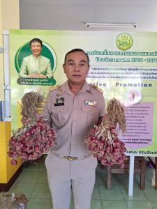 บุคลากรสำนักงานสหกรณ์จังหวัดนครพนม ร่วมกันกระจายหอมแดง ... พารามิเตอร์รูปภาพ 1