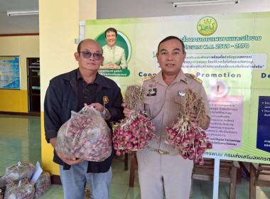 บุคลากรสำนักงานสหกรณ์จังหวัดนครพนม ร่วมกันกระจายหอมแดง ... พารามิเตอร์รูปภาพ 3