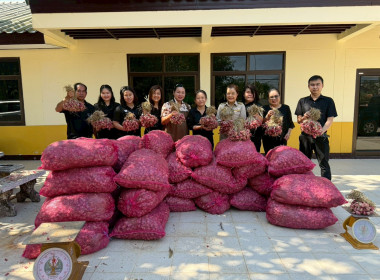บุคลากรสำนักงานสหกรณ์จังหวัดนครพนม ร่วมกันกระจายหอมแดง ... พารามิเตอร์รูปภาพ 5