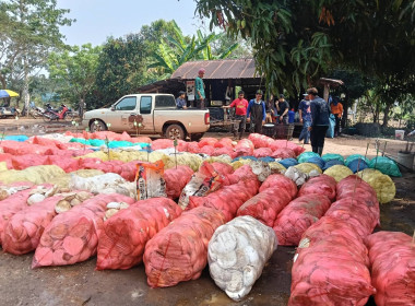 เจ้าหน้าที่กลุ่มส่งเสริมสหกรณ์ 5 ... พารามิเตอร์รูปภาพ 2