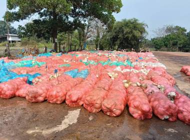 เจ้าหน้าที่กลุ่มส่งเสริมสหกรณ์ 5 ... พารามิเตอร์รูปภาพ 3