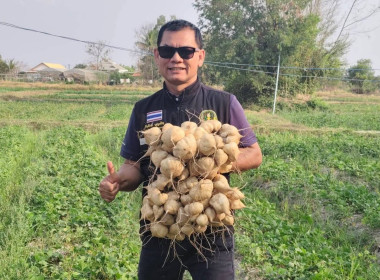 ผู้อำนวยการกลุ่มส่งเสริมและพัฒนาธุรกิจสหกรณ์ ... พารามิเตอร์รูปภาพ 4