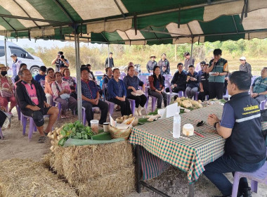 ผู้อำนวยการกลุ่มส่งเสริมและพัฒนาธุรกิจสหกรณ์ ... พารามิเตอร์รูปภาพ 3