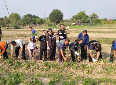 ผู้อำนวยการกลุ่มส่งเสริมและพัฒนาธุรกิจสหกรณ์ ... พารามิเตอร์รูปภาพ 5