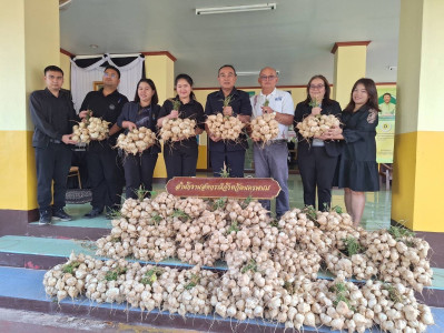 บุคลากรสำนักงานสหกรณ์จังหวัดนครพนมได้ร่วมสนับสนุนสินค้าของกลุ่มแปลงใหญ่มันแกวหวานธาตุพนม ... พารามิเตอร์รูปภาพ 1