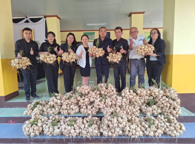 บุคลากรสำนักงานสหกรณ์จังหวัดนครพนมได้ร่วมสนับสนุนสินค้าของกลุ่มแปลงใหญ่มันแกวหวานธาตุพนม ... พารามิเตอร์รูปภาพ 1