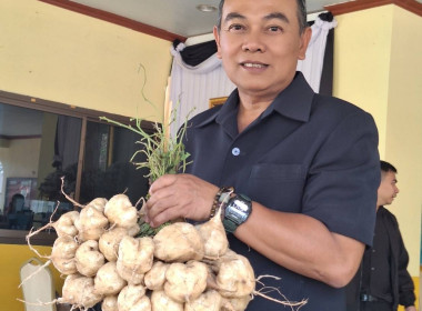 บุคลากรสำนักงานสหกรณ์จังหวัดนครพนมได้ร่วมสนับสนุนสินค้าของกลุ่มแปลงใหญ่มันแกวหวานธาตุพนม ... พารามิเตอร์รูปภาพ 2